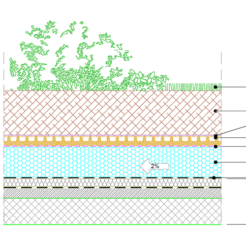 Semi-intensive green roof